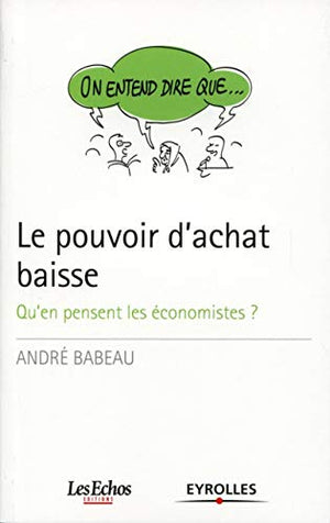 Le pouvoir d'achat baisse - qu'en pensent les économistes ?