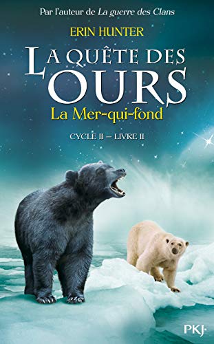 2. La quête des ours cycle II : La mer qui fond (2)