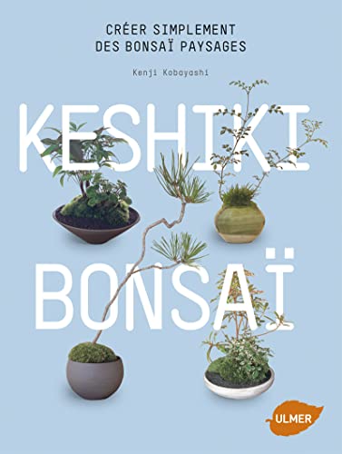 Keshiki Bonsaï. Créer simplement des bonsaï paysages