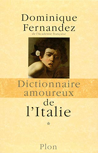 Coffret dictionnaire amoureux de l'Italie 2 volumes