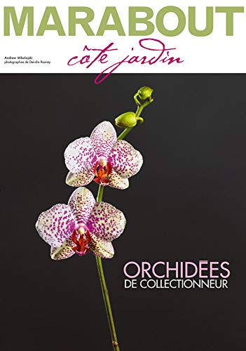 Orchidées de collectionneur