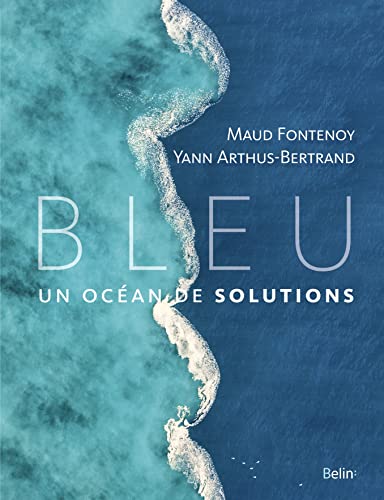 Bleu: Un océan de solutions
