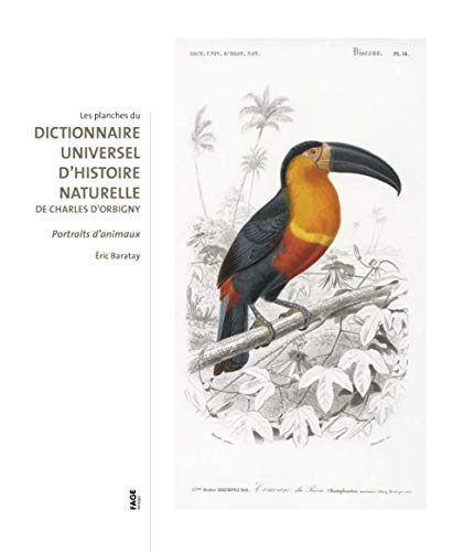 Les planches du Dictionnaire universel d'histoire naturelle de Charles d'Orbigny: Portraits d'animaux