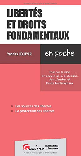 Libertés et droits fondamentaux: Les points clés de la mise en oeuvre de la protection des libertés et droits fondamentaux (2020)