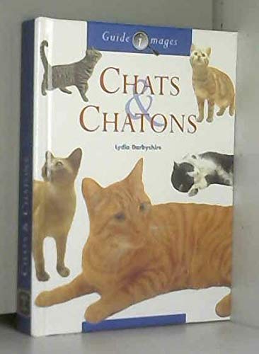 Chats et Chatons