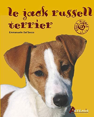 Le jack russel terrier