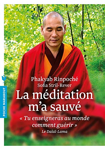 La méditation m'a sauvé: « Tu enseigneras au monde comment guérir » Le Dalaï-Lama