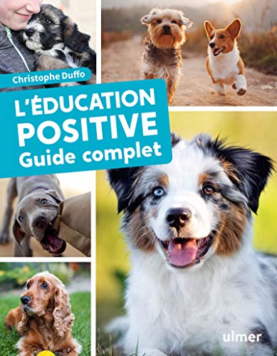 L'éducation positive du chien