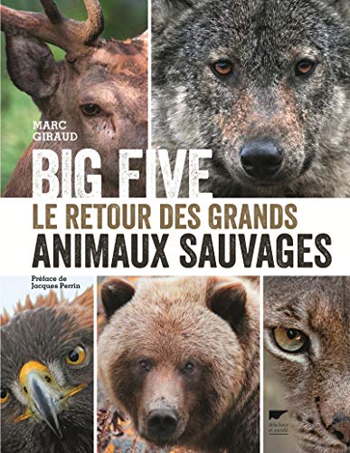 Big Five: Le Retour des grands animaux sauvages