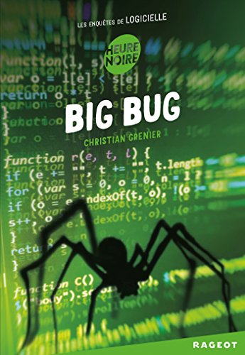 Big bug: Les enquêtes de Logicielle