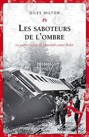 Les saboteurs de l'ombre