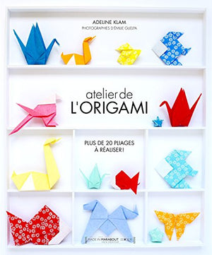 Atelier de l'origami: Plus de 20 pliages à réaliser !