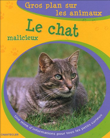 Le chat malicieux