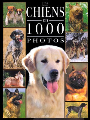 Chiens 1000 photos