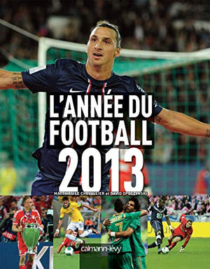 L'année du football 2013