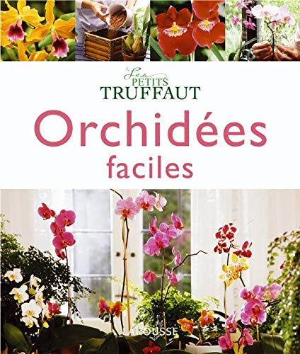 Orchidées faciles