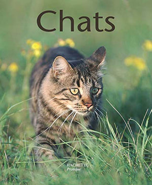 Chats