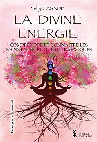 La Divine énergie: Comprendre et connaître les soins énergétiques et karmiques