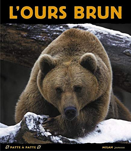 Ours brun (l')