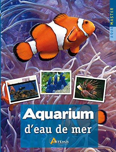 Aquarium d'eau de mer