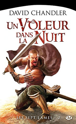 Un voleur dans la nuit