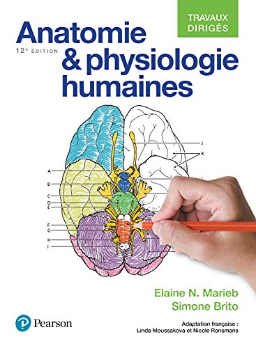 Anatomie et physiologie humaines - Travaux dirigés