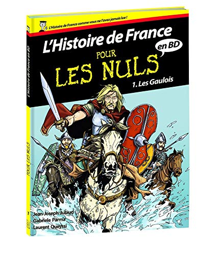 Histoire de France en BD Pour les Nuls - Les Gaulois (01)