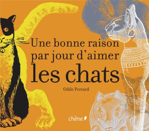 Une bonne raison par jour d'aimer les chats