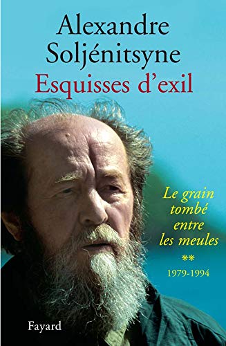 Esquisses d'exil (1979-1994): Le grain tombé entre les meules, tome 2