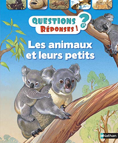 Les animaux et leurs petits - Questions/Réponses - doc dès 7 ans (08)