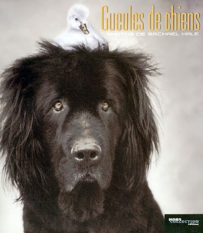 Gueules de chiens (Ancien prix Editeur: 13 Euros )