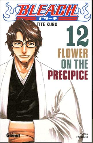 Bleach - Tome 12: Flower on the precipice