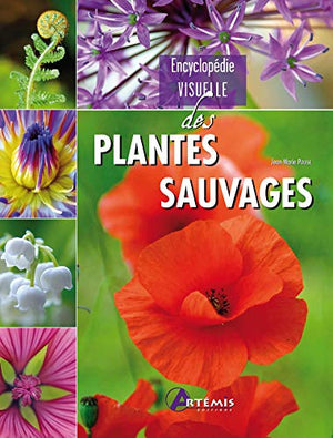 Plantes sauvages