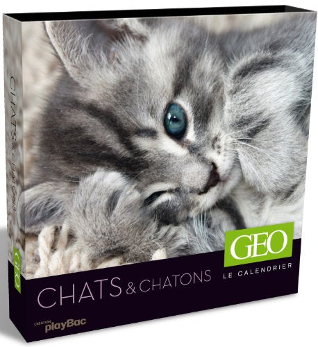 Le calendrier Géo : Chats & chatons