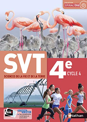 SVT 4e Cycle 4
