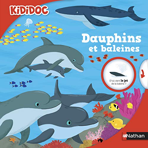 Dauphins et baleines - Livre animé Kididoc - Dès 5 ans (41)