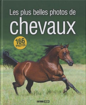 Les plus belles photos de chevaux