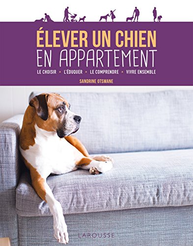 Elever un chien en appartement
