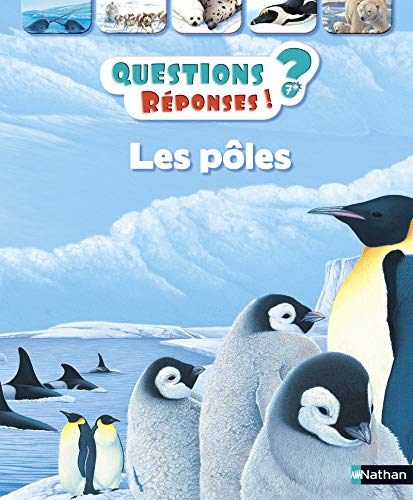 Les pôles - Questions/Réponses - doc dès 7 ans (13)