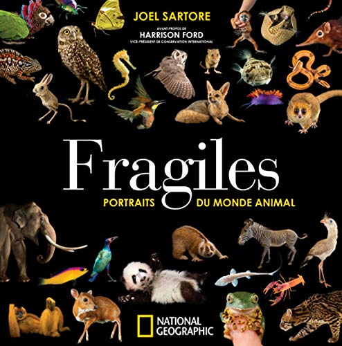 Fragiles - portraits du monde animal