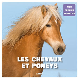 Les chevaux et les poneys