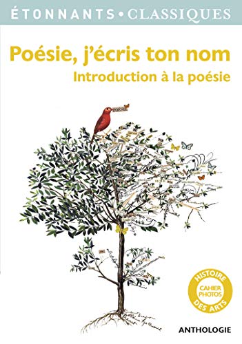 Poésie, j'écris ton nom: Introduction à la poésie