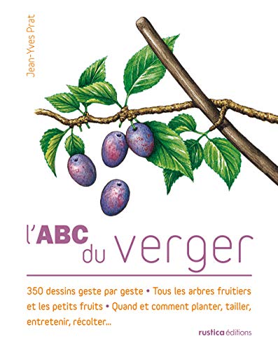 L'ABC du verger: 350 dessins geste par geste - Tous les arbres fruitiers et les petits fruits - Quand et comment plan