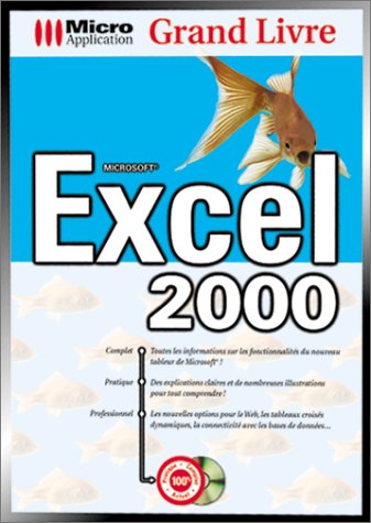 Grand livre Excel 2000