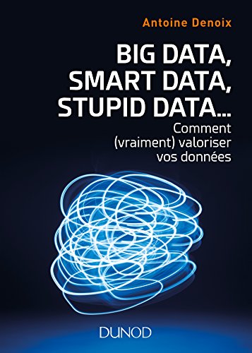 Big Data, Smart Data, Stupid Data... : Comment (vraiment) valoriser vos données