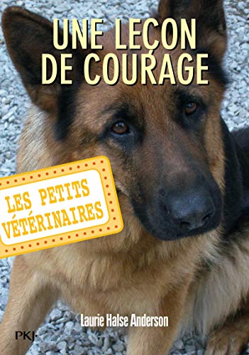 Les petits vétérinaires - tome 07 : Une leçon de courage (07)