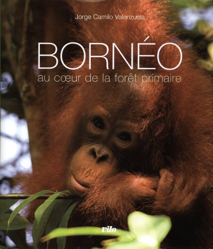 Bornéo : Au coeur de la forêt primaire (1CD audio)