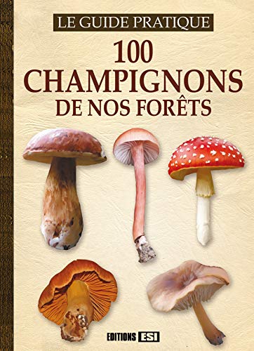 100 champignons de nos forêts
