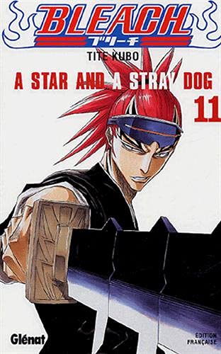 Bleach - Tome 11: A star and a stray dog