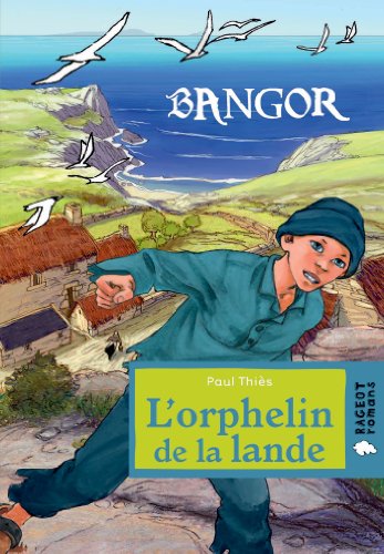 Bangor : L'orphelin de la lande